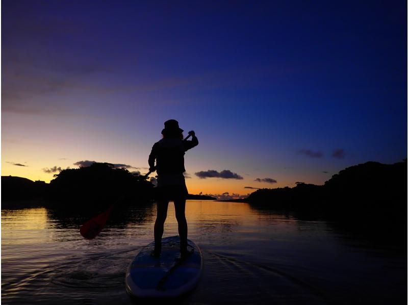 [Iriomote Island/Early Morning] Enjoy the classic Iriomote Island sights from early in the morning! Sunrise & Mangrove SUP or Canoeの紹介画像