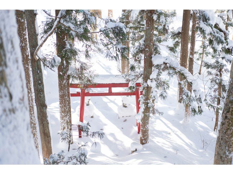 【新潟県・越後湯沢】【送迎可】【プロカメラマン帯同！】写真撮影付きスノーシューツアー！【温泉チケット付き！】の紹介画像