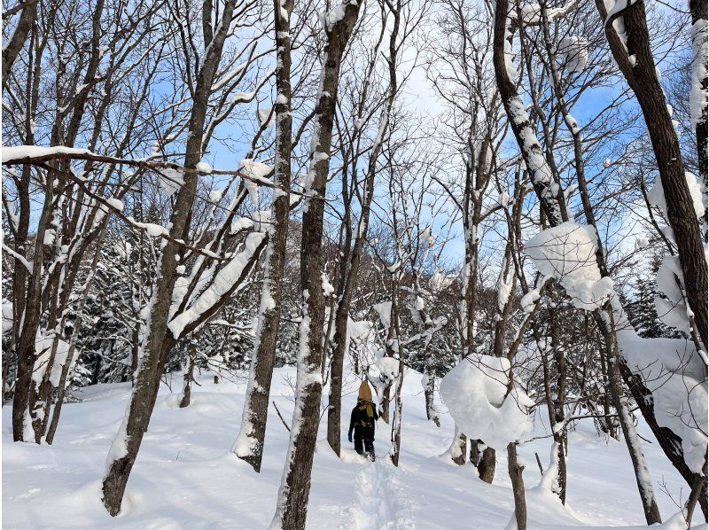 【北海道・ニセコ・２時間】冬の大自然満喫スノーシュー体験！ゆったり白銀の世界を歩いてみよう♪写真データは無料でプレゼント♪の紹介画像