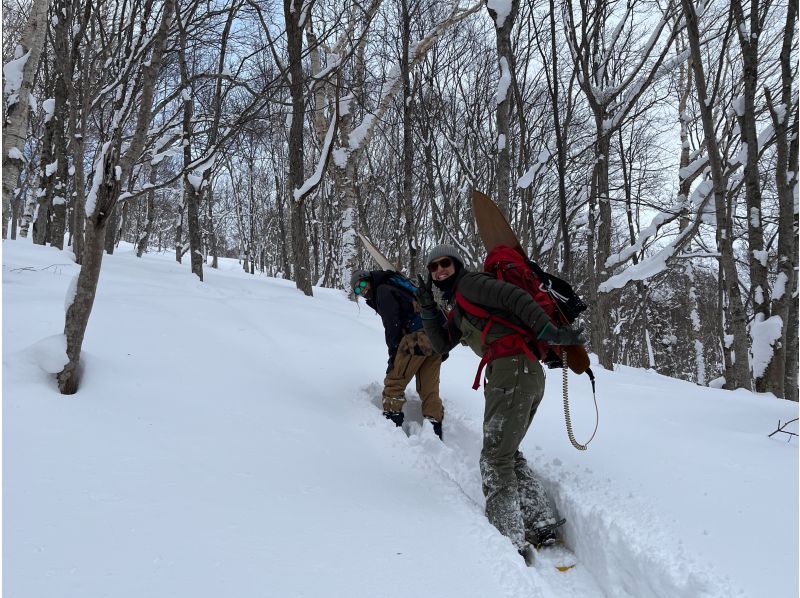 【北海道・ニセコ・２時間】冬の大自然満喫スノーシュー体験！ゆったり白銀の世界を歩いてみよう♪写真データは無料でプレゼント♪の紹介画像