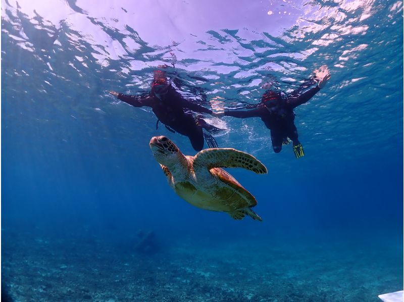 [First in the marine industry] [Limited to one group for exclusive use] ⭐️Former USJ dancer⭐️️Professional entertainer! Handsome tour guide! Sea turtle snorkeling tour!の紹介画像