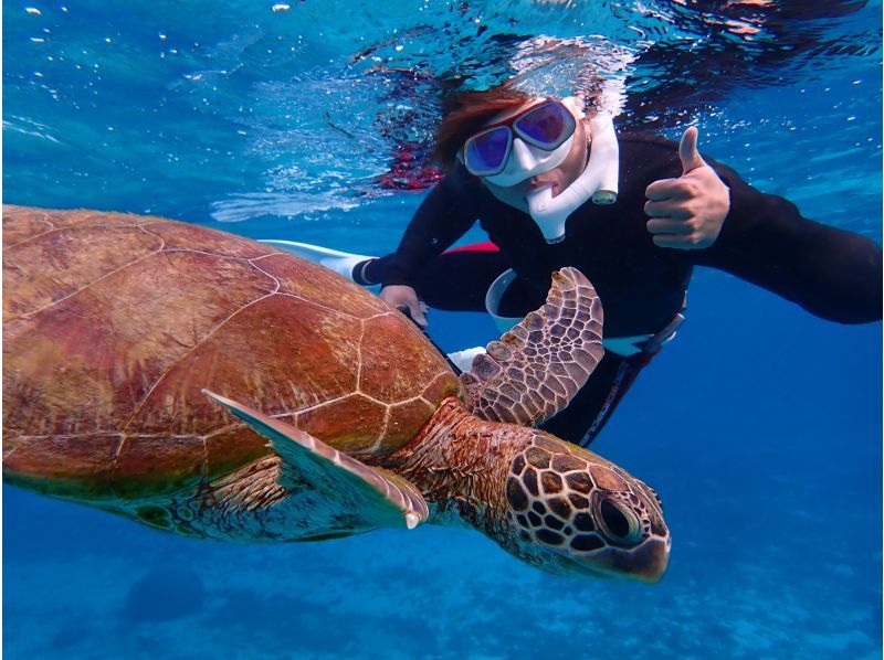 [First in the marine industry] [Limited to one group for exclusive use] ⭐️Former USJ dancer⭐️️Professional entertainer! Handsome tour guide! Sea turtle snorkeling tour!の紹介画像