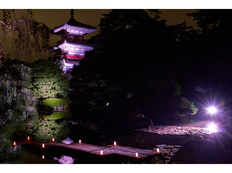 [宮城縣仙台市]伊達家族守護的禪寺，透過特別的佛教美食和禪宗體驗來淨化心靈的夜晚の紹介画像