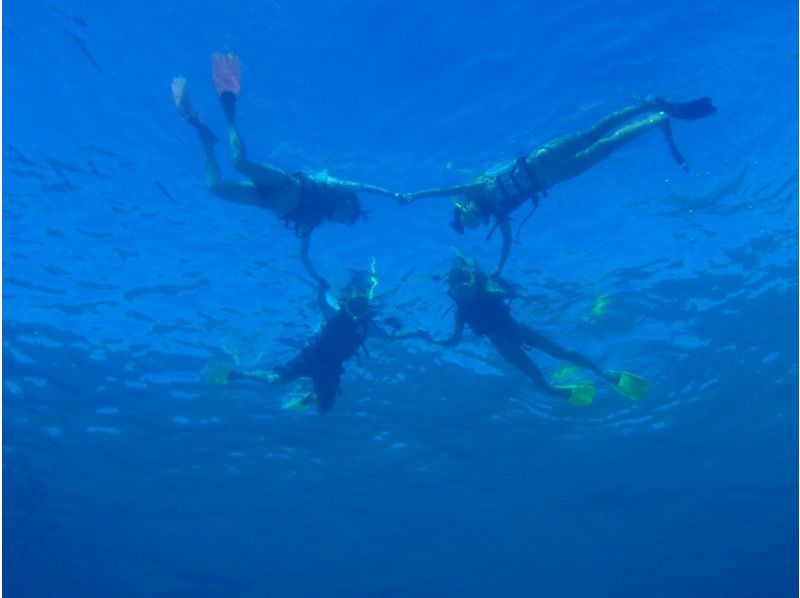 【沖縄・渡嘉敷島】ケラマブルーの海でウミガメに会おう、シュノーケリングツアー！の紹介画像