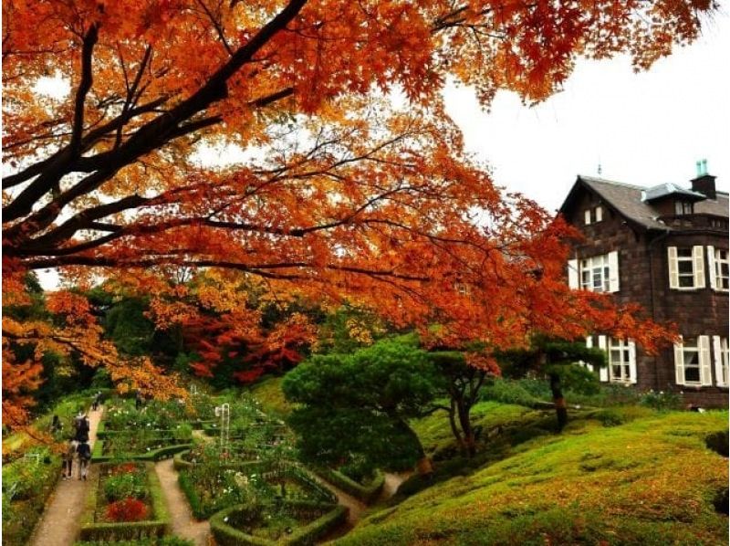 【六本木・青山】迎賓館本館内部見学＆洋館と日本庭園の紅葉＆教会めぐりバスツアー ～ホテルの洋食ランチ付～【029029-1490】添乗員同行の紹介画像