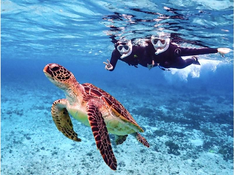 [Miyakojima/same-day reservations OK!!] [Great student discounts available!!] 100% encounter rate continues!! Sea turtle snorkeling!! Use a snorkel mask that looks great on social media♪の紹介画像