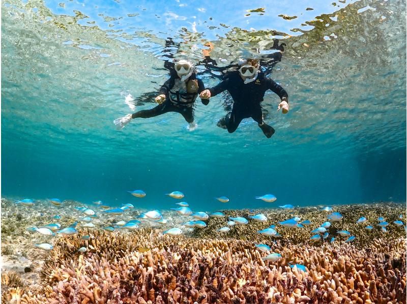 [Okinawa, Miyakojima] Pick-up available [Reservations on the day OK!! / Ages 1 to 70] Sea turtle snorkeling with a 100% chance of encountering them! Filmed with the latest underwater camera!の紹介画像