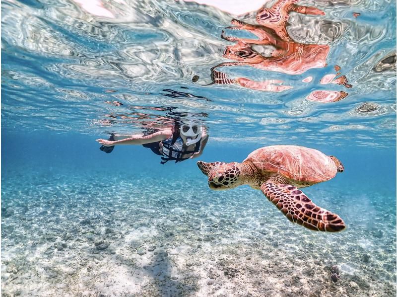 [Okinawa, Miyakojima] Pick-up available [Reservations on the day OK!! / Ages 1 to 70] Sea turtle snorkeling with a 100% chance of encountering them! Filmed with the latest underwater camera!の紹介画像