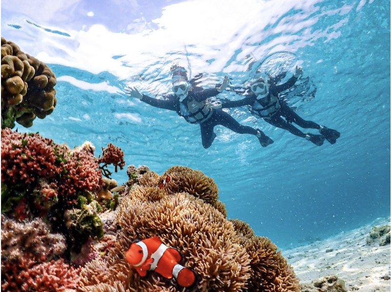 【宮古島｜送迎可能】★春休み学割対象★当日予約OK★《1歳~70歳対象》透明度抜群ウミガメ＆ニモのシュノーケリングの紹介画像