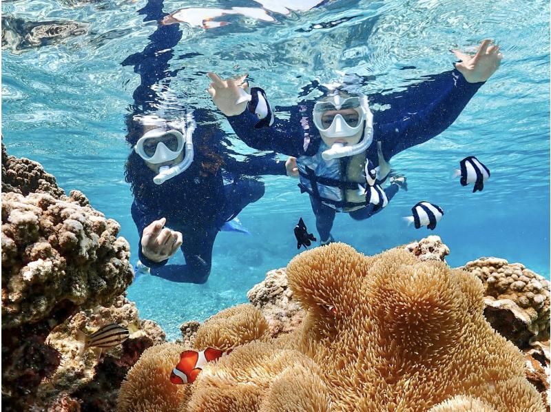 [Okinawa, Miyakojima] Pick-up available [Reservations on the day OK!! / Ages 1 to 70] Sea turtle snorkeling with a 100% chance of encountering them! Filmed with the latest underwater camera!の紹介画像