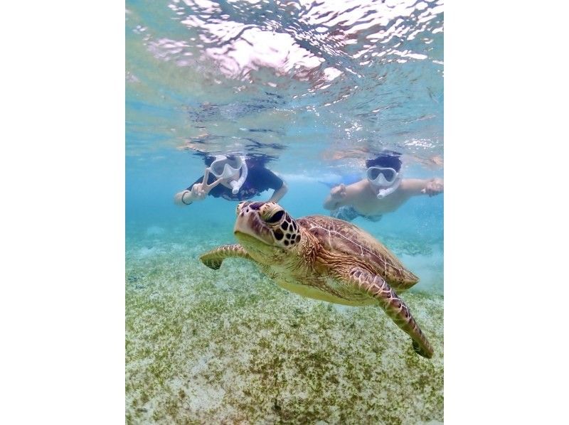 [Okinawa, Miyakojima] Opening sale ★ Very popular snorkeling plan! No. 1 in popularity ★ Use a snorkel mask that looks great on social media! High chance of seeing sea turtles!の紹介画像