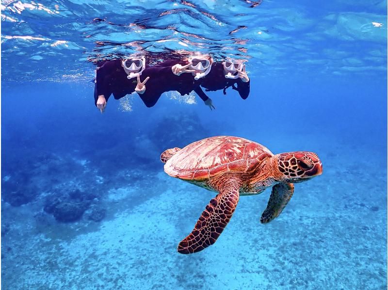 [Miyakojima/same-day reservations OK!!] [Limited time only!! Pick-up service included!!] High chance of meeting sea turtles!! Snorkeling with amazing photography skills!!の紹介画像