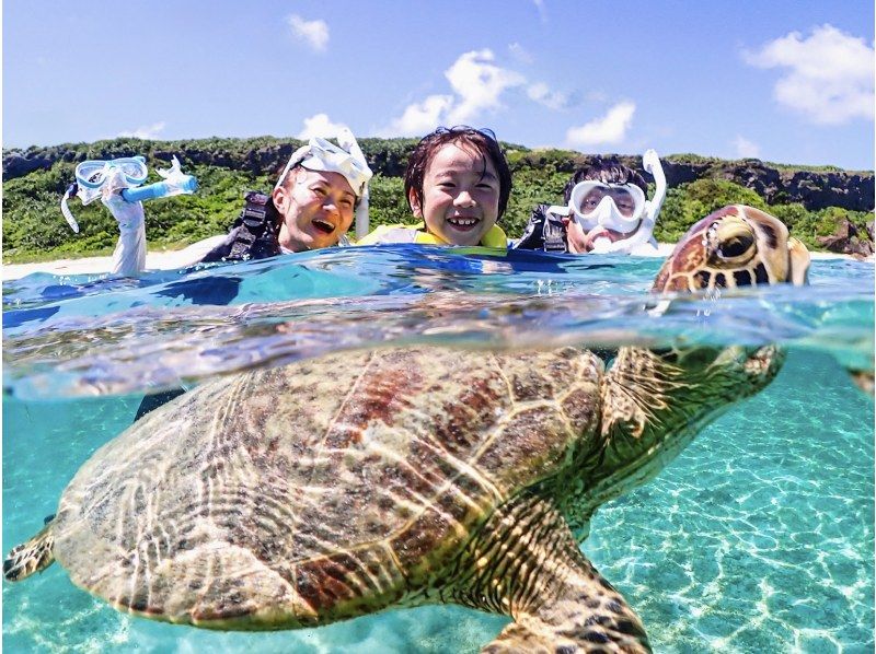[Okinawa/Miyakojima/Pick-up available] {Ages 1-70} 100% encounter rate at a beach with excellent transparency | Sea turtle & Nemo snorkeling <High-resolution data>の紹介画像