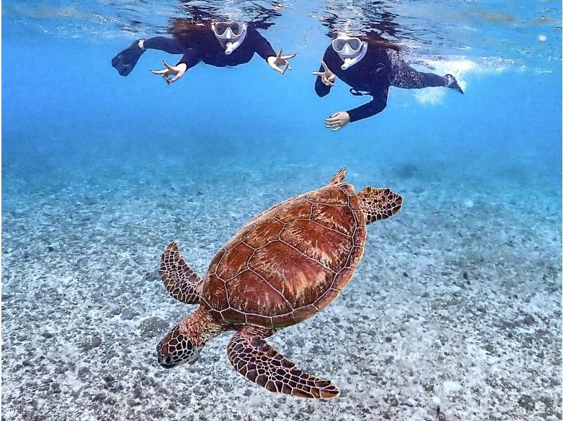 [Miyakojima/same-day reservations OK!!] [Great student discounts available!!] 100% encounter rate continues!! Sea turtle snorkeling!! Use a snorkel mask that looks great on social media♪の紹介画像