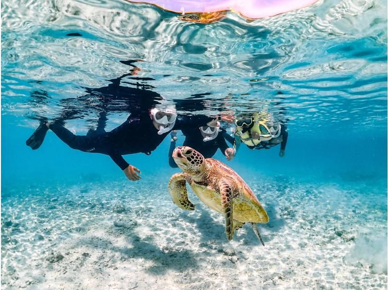 [Okinawa, Miyakojima] Pick-up available [Reservations on the day OK!! / Ages 1 to 70] Sea turtle snorkeling with a 100% chance of encountering them! Filmed with the latest underwater camera!の紹介画像