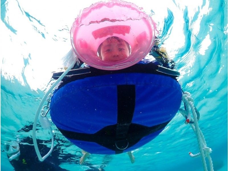 【冲绳/宫古岛/有接送服务】【1岁～70岁】能见度极佳的海滩｜与海龟和尼莫一起浮潜（高清图像数据）の紹介画像