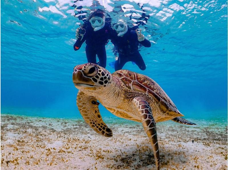 [Miyakojima/same-day reservations OK!!] [Limited time only!! Pick-up service included!!] High chance of meeting sea turtles!! Snorkeling with amazing photography skills!!の紹介画像