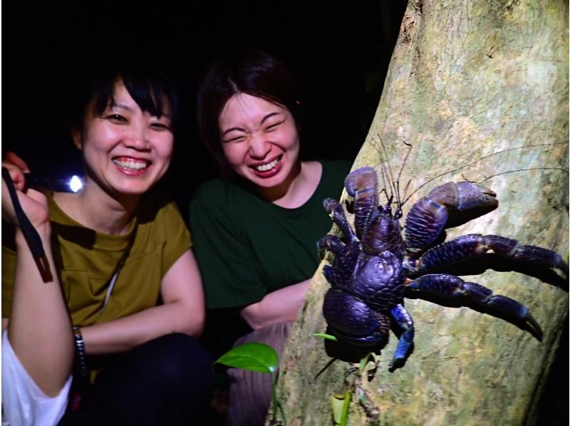 宮古島《少人数制で安心！》宮古島の夜を冒険！ヤシガニとたくさん生き物たちと出会う【ナイトツアー】★当日予約OK！★撮影データ無料！の紹介画像