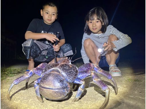 【宮古島|当日予約OK】《夏休み割引中》お子様大歓迎!星空鑑賞&ジャングルナイトツアー★お子様にヤシガニメダルプレゼント★撮影データ付き 【宮古島|当日予約OK】《夏休み割引中》お子様大歓迎!星空鑑賞&ジャングルナイトツアー★お子様にヤシガニメダルプレゼント★撮影データ付き