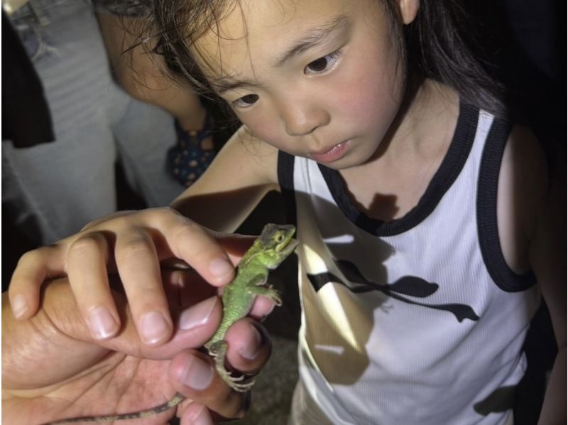 【宫古岛/夜游】儿童最低价★当天预约◎星空/热带丛林夜游！儿童仅限椰子蟹奖章！の紹介画像