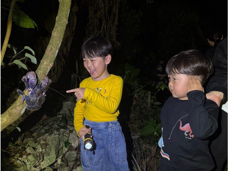 [宫古岛 | 夜游] 可接送◎在来间岛举行！| 接受当日预约| 星空和热带丛林夜游★仅限儿童赠送椰子蟹奖牌！の紹介画像