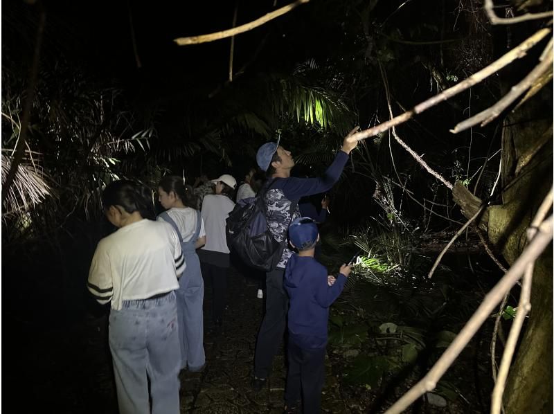 [宫古岛 | 夜游] 可接送◎在来间岛举行！| 接受当日预约| 星空和热带丛林夜游★仅限儿童赠送椰子蟹奖牌！の紹介画像