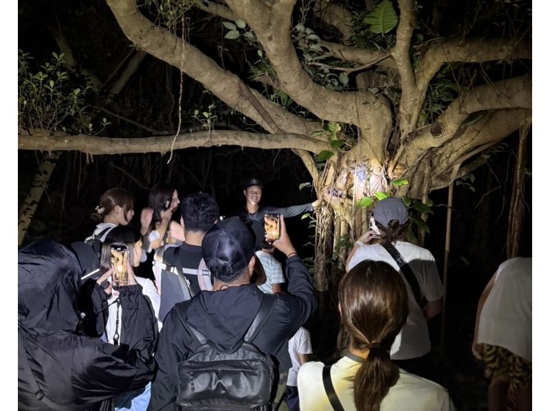 [宫古岛 | 夜游] 可接送◎在来间岛举行！| 接受当日预约| 星空和热带丛林夜游★仅限儿童赠送椰子蟹奖牌！の紹介画像