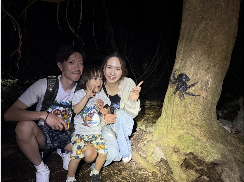 [宮古島/夜遊]推薦給家庭！當天即可預約！星空叢林夜遊！孩子們將獲得原創椰子蟹獎章！ ！の紹介画像