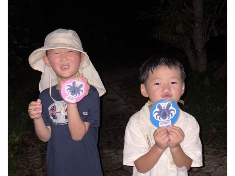 【宫古岛/夜游】最受家庭欢迎！当天预约！星空/热带丛林夜游！儿童限定椰子蟹奖章礼物！の紹介画像