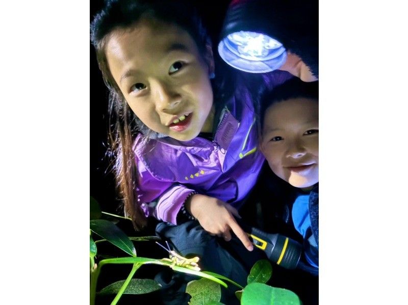 ANA誌掲載【99.99%!大人気のヤシガニ驚異の遭遇率!】絶対にヤシガニを見たいお子様必見★天の川満点の星観察★当日OK/家族割/送迎無料の紹介画像