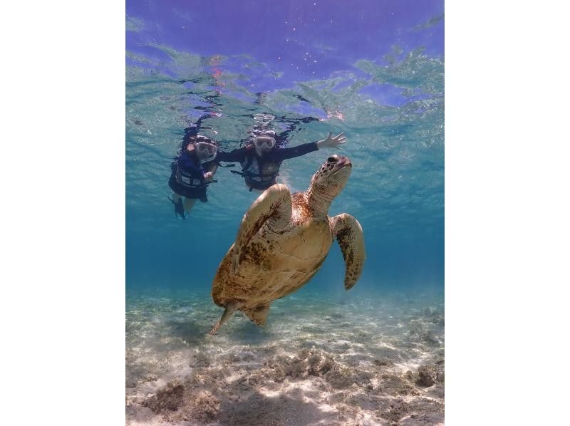 A hot topic on social media: SUNDOGS "Guided by former members of the Self-Defense Forces and former lifeguards! Highly safe and satisfying sea turtle snorkeling [100% encounter rate continues]"の紹介画像