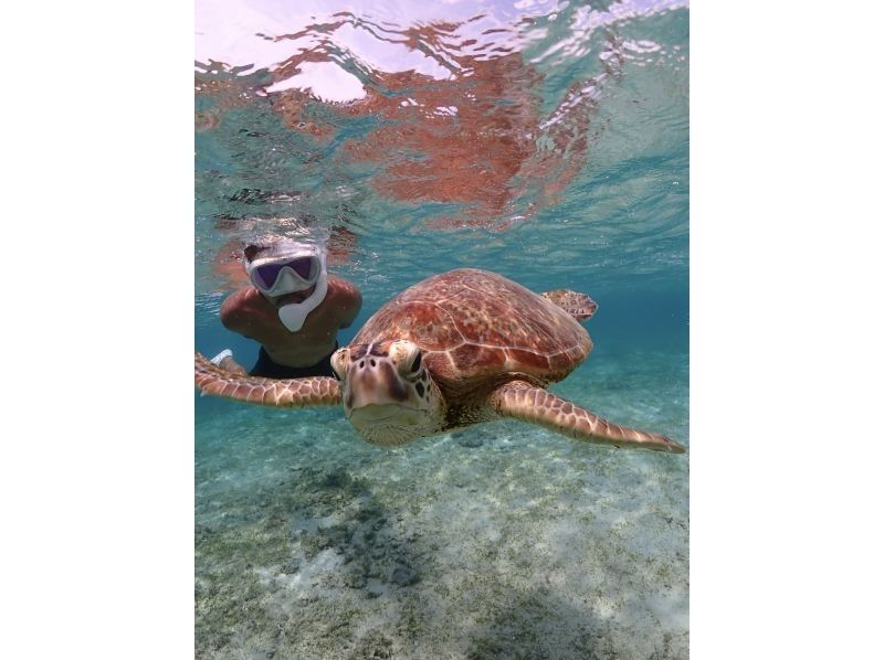 A hot topic on social media: SUNDOGS "Guided by former members of the Self-Defense Forces and former lifeguards! Highly safe and satisfying sea turtle snorkeling [100% encounter rate continues]"の紹介画像