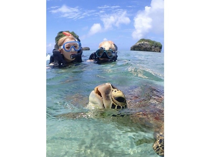 A hot topic on social media: SUNDOGS "Guided by former members of the Self-Defense Forces and former lifeguards! Highly safe and satisfying sea turtle snorkeling [100% encounter rate continues]"の紹介画像