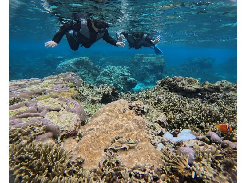 A hot topic on social media: SUNDOGS "Guided by former members of the Self-Defense Forces and former lifeguards! Highly safe and satisfying sea turtle snorkeling [100% encounter rate continues]"の紹介画像