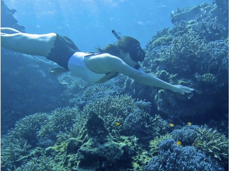 [Miyakojima - Same-day reservations accepted] The best value snorkeling experience! 100% chance of encountering sea turtles! Free photo data and rental items! Come empty-handed!の紹介画像