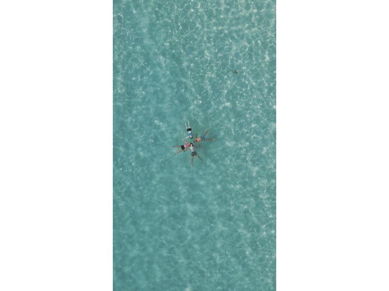 A hot topic on social media: SUNDOGS "Guided by former members of the Self-Defense Forces and former lifeguards! Highly safe and satisfying sea turtle snorkeling [100% encounter rate continues]"の紹介画像