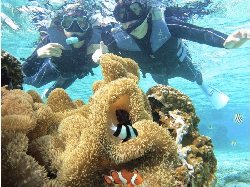 [Miyakojima - Same-day reservations accepted] The best value snorkeling experience! 100% chance of encountering sea turtles! Free photo data and rental items! Come empty-handed!の紹介画像
