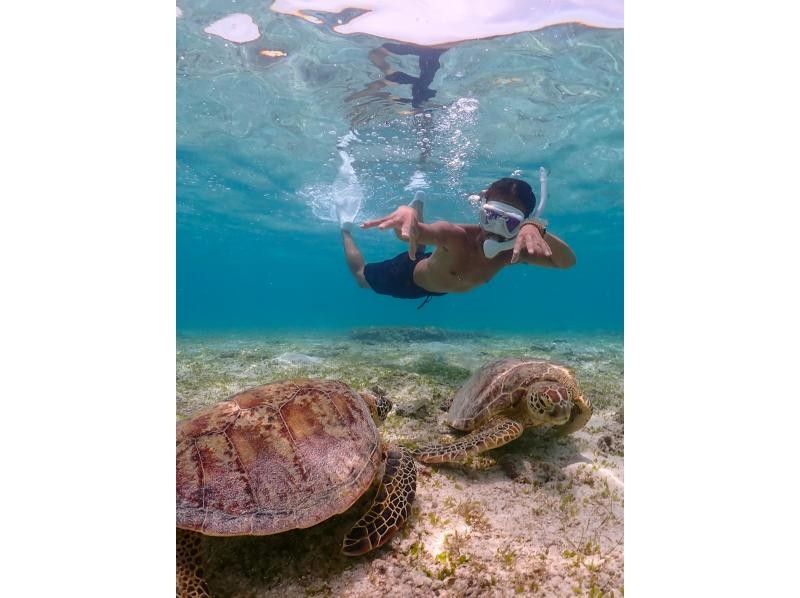 A hot topic on social media: SUNDOGS "Guided by former members of the Self-Defense Forces and former lifeguards! Highly safe and satisfying sea turtle snorkeling [100% encounter rate continues]"の紹介画像