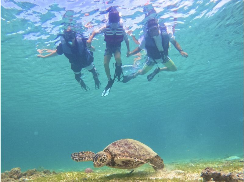[Miyakojima - Same-day reservations accepted] The best value snorkeling experience! 100% chance of encountering sea turtles! Free photo data and rental items! Come empty-handed!の紹介画像