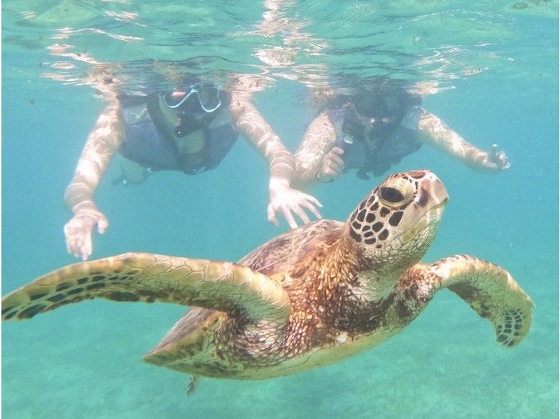 [Miyakojima - Same-day reservations accepted] The best value snorkeling experience! 100% chance of encountering sea turtles! Free photo data and rental items! Come empty-handed!の紹介画像