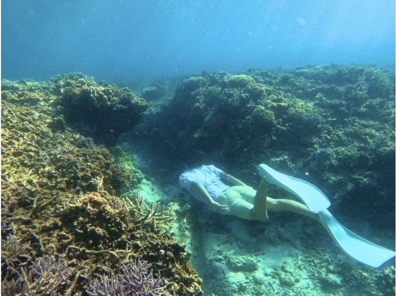 [Miyakojima - Same-day reservations accepted] The best value snorkeling experience! 100% chance of encountering sea turtles! Free photo data and rental items! Come empty-handed!の紹介画像