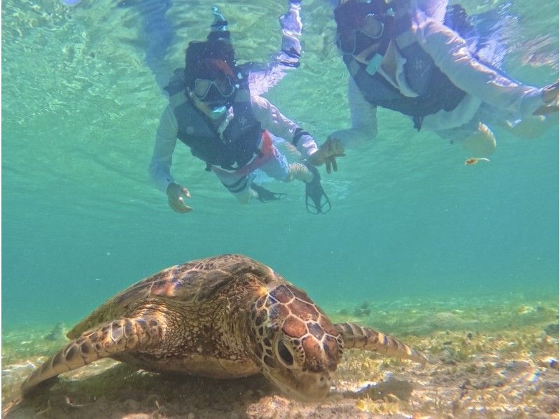 [Miyakojima - Same-day reservations accepted] The best value snorkeling experience! 100% chance of encountering sea turtles! Free photo data and rental items! Come empty-handed!の紹介画像