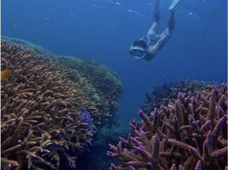 [Miyakojima - Same-day reservations accepted] The best value snorkeling experience! 100% chance of encountering sea turtles! Free photo data and rental items! Come empty-handed!の紹介画像