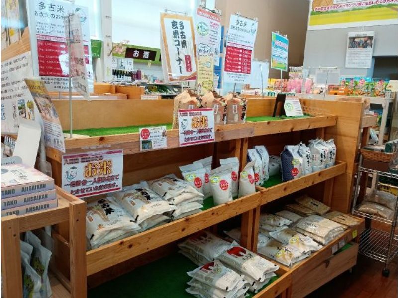 【2029年完成予定：C滑走路】空港シャトルバスで横断、多古米の産地へ！「ふっくらたまこ」グッズプレゼントの紹介画像