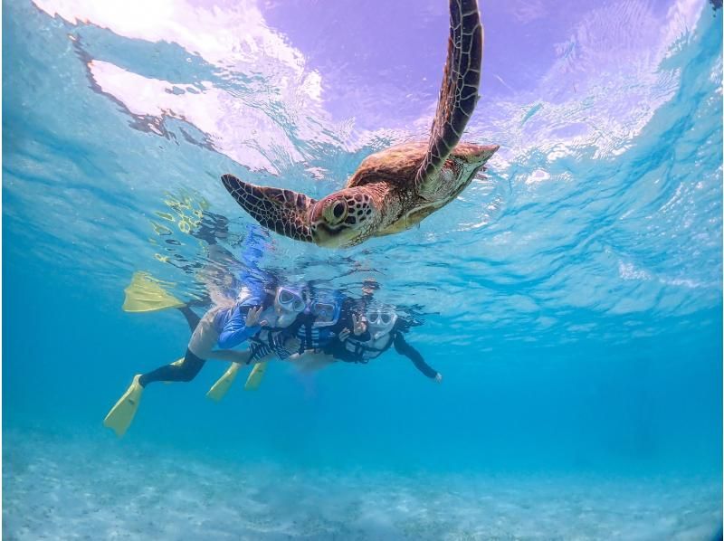 沖縄県・宮古島【1組限定】ウミガメと過ごす特別な2時間！完全貸切プライベートシュノーケリング！の紹介画像