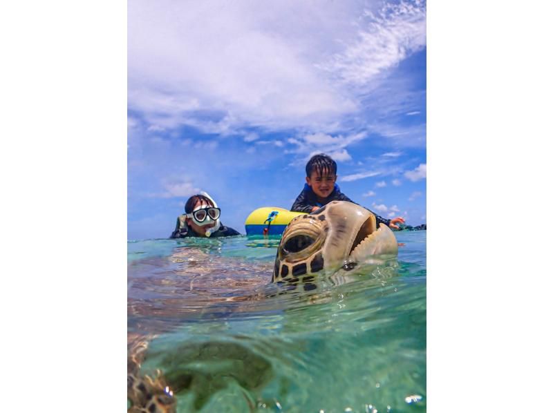 宮古島/送迎可能【1組限定/1歳〜】ウミガメと過ごす特別な2時間！完全貸切でプライベートシュノーケリング！写真データ増量！・お子様大歓迎！の紹介画像