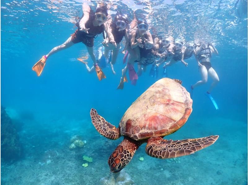 沖縄県・宮古島【1組限定】ウミガメと過ごす特別な2時間！完全貸切プライベートシュノーケリング！の紹介画像