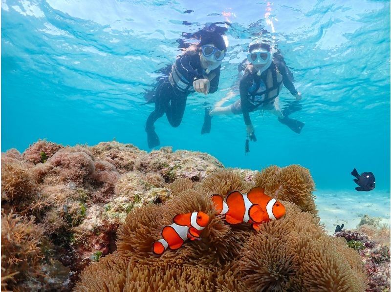 沖縄県・宮古島【1組限定】ウミガメと過ごす特別な2時間！完全貸切プライベートシュノーケリング！の紹介画像