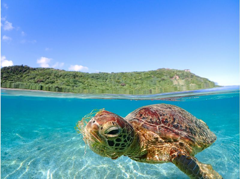 宮古島【1組限定】ウミガメと過ごす特別な2時間！完全貸切でプライベートシュノーケリング！｜高画質写真データ増量！初心者・お子様大歓迎！の紹介画像