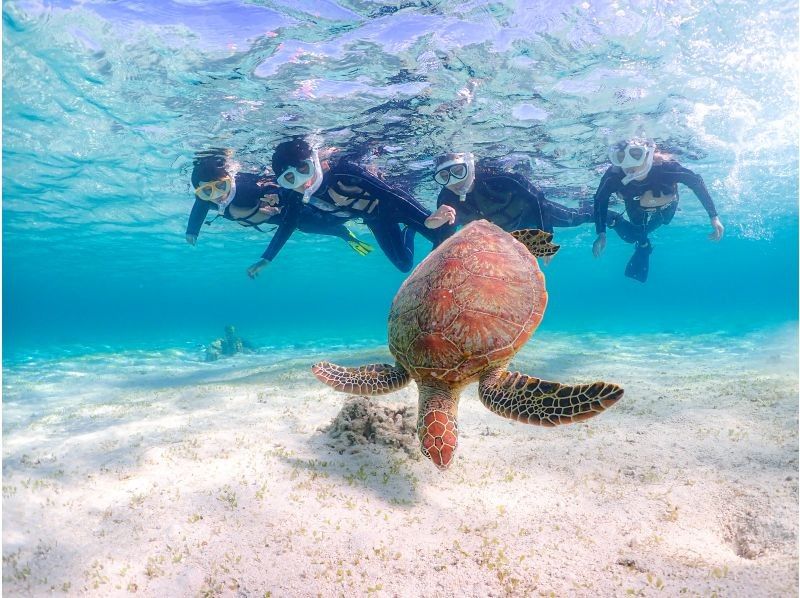沖縄県・宮古島【1組限定】ウミガメと過ごす特別な2時間！完全貸切プライベートシュノーケリング！の紹介画像